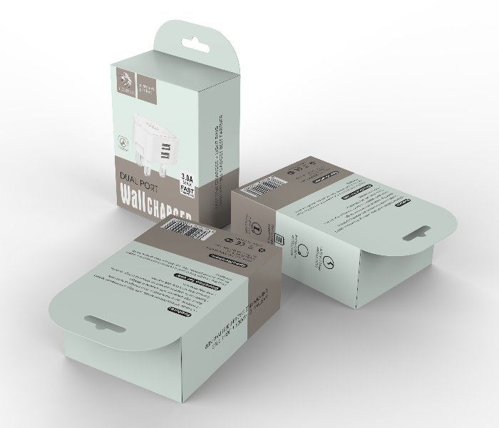 Liontari Dual Port Wall Charger - White 2 in OMAN