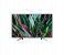 Sony KDL49W800G 49 inch FHD Android Smart LED TV - Black 1 in UAE