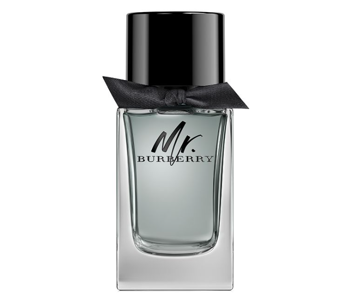 Burberry 100ml Mr Eau de Toilette 2 in UAE