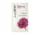 Beesline 25ml Facial Black Head Mask 1 in UAE