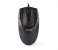 A4TECH N-301 Wired Mouse - Black 1 in UAE