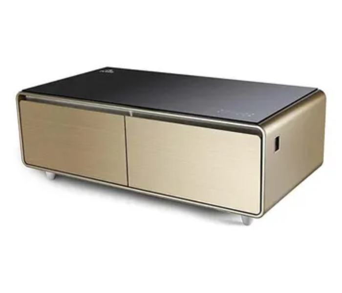 Evvoli EVRFS-130LG Smart Touch Table With Two Refrigerating Doors - Black and Gold 4 in UAE