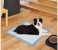 Cat & Dog Pet Training Pee Pads Super Absorbent Disposable Healthy Puppy Pads for Dog Cats 100PCS 4 in UAE