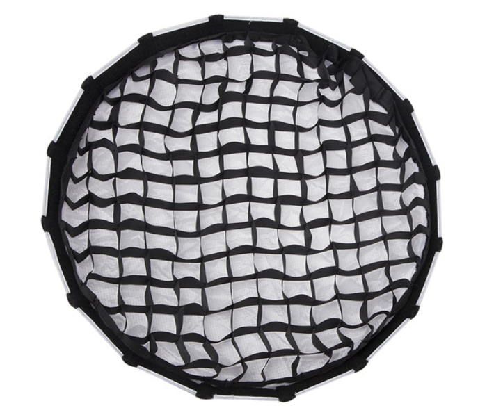 Aputure 21.5 inch Light Dome Mini II - Black 5 in UAE