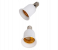 Base Screw E14-E27 Bulb Holder Adapter Socket Converter 1Piece - White 1 in OMAN