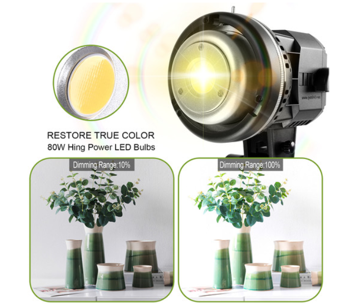 GVM AWP-1137 P80S 4 Light Kit With Umberala Softbox And Backdrop - Black and White 3 in UAE