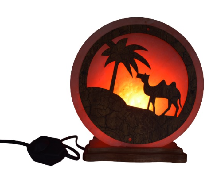 Himalayan 4-5Kg Aura Salt Camel Style Lamp Design By Photon 1 in UAE
