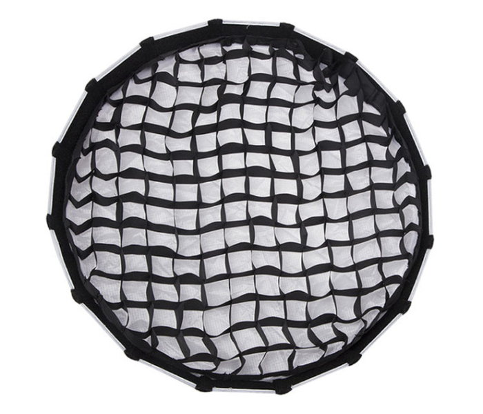 Aputure AWP-6644 Light Dome Mini MarkII – White and Black 4 in UAE