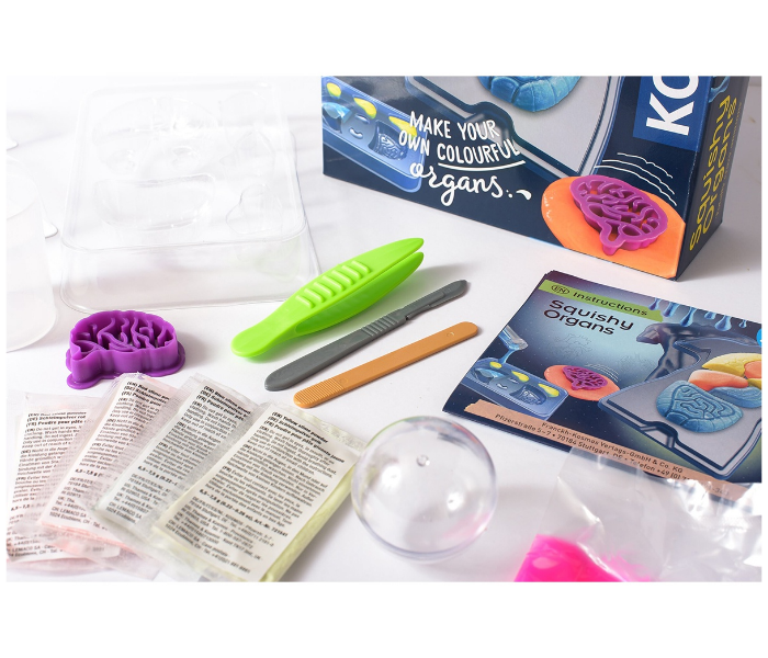 Thames and Kosmos Fun Science Squishy Organs 5 in UAE