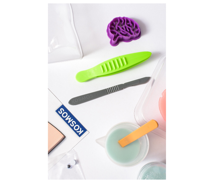 Thames and Kosmos Fun Science Squishy Organs 3 in UAE
