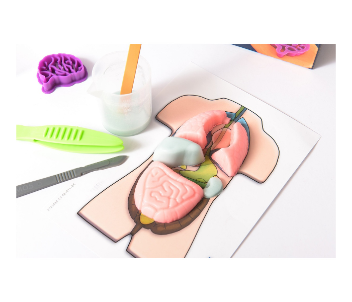 Thames and Kosmos Fun Science Squishy Organs 2 in UAE