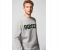 Springfield 009413743 XS Sweatshirt for Men - Dark Grey 1 in UAE