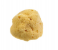 Beautytime BT333 Medium Natural Sea Sponge 1 in UAE
