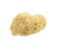 Beautytime BT332 Small Natural Sea Sponge 1 in UAE