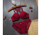 Beautiful Butterfly Embroidered Bridal Wired Lingerie EU 40 - Red 1 in UAE