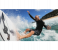 GoPro ASURF-001 Surfboard Camera Mount - Black 4 in UAE