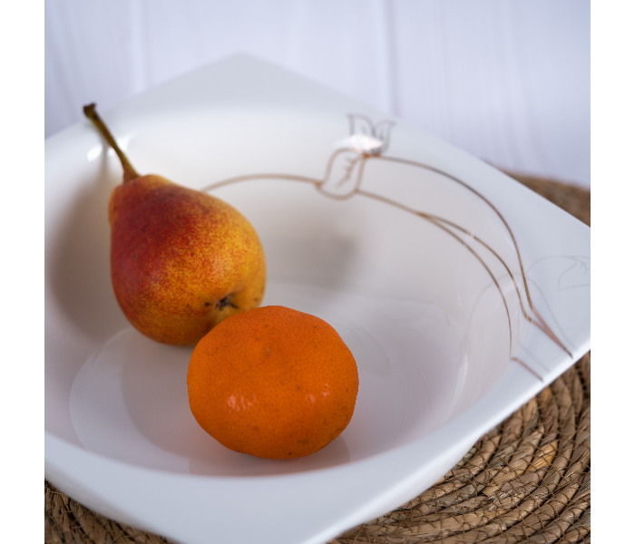 Insiya SV213 56 Piece Superior Quality New Bone China Dinner Set- White 5 in UAE