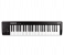 Alesis Q49 MKII 49 Key USB MIDI Keyboard Controller with Full Size Velocity Sensitive Synth Action Keys - Black 1 in OMAN