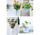 Magic Wall Hanging Silicone Flower Vase - White 1 in UAE