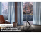 Samsung 85 QN800A 85 Inch Neo QLED 8K Smart TV - Black 4 in UAE