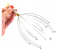 Generic Metal Octopus Head Massager - Silver 2 in UAE