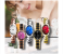 5 Piece Classic Color Analog Watch for Women 1 in KSA