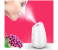 Maoer Fruit-Infusing Facial Steamer - Pink 1 in UAE