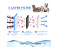 Automatic Pet Drinking Fountain with Faucet Kits 2 in UAE