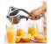 Aluminium Fruit Squeezer Silver Image