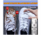 Generic Sneaker Cleaner Spray Set for Rubber Shoes 1 in OMAN