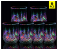 RMN 6 Pieces of Inductive Rainbow Color Changing Magic Cup 1 in UAE