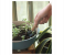 Galaxy Ocean 3 Pieces Garden Tool Set - Black and Brown 8 in UAE