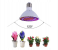 Galaxy Full Spectrum 200 LED Plant Lamp Hydroponic Grow Light Bulbs 5 in UAE
