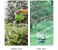 Rotating Garden Sprinkler Gardening Watering System - Black and Green 6 in UAE