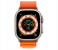 Apple Watch Ultra GPS And Cellular Titanium Case with Orange Alpine Loop 49mm Band size Large 2 in OMAN