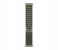 Apple Watch Ultra GPS And Cellular Titanium Case with Green Alpine Loop 49mm Band size Medium 3 in OMAN