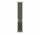 Apple Watch Ultra GPS And Cellular Titanium Case with Green Alpine Loop 49mm Band size M/L 3 in OMAN