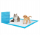 Cat & Dog Pet Training Pee Pads Super Absorbent Disposable Healthy Puppy Pads for Dog Cats 100PCS 1 in UAE
