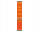 Apple Watch Ultra GPS And Cellular Titanium Case with Orange Alpine Loop 49mm Band size Medium 3 in OMAN