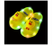 Generic 28 Sized Cartoon Cute LED Light Casual Soft Sole Rubber Shoes for Kids 6 in OMAN