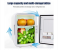 Mini 4L Portable and Compact Powered Fridge Refrigerators Dual-Use Food Beverage Cooler for Car 5 in OMAN