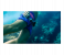GoPro Hero12 Black Waterproof Action Camera 11 in OMAN