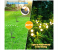 Jongo 8 LED Solar Firefly Lights, Solar Lights for Outside, Solar Outdoor Waterproof Lights, Solar Garden Lights, Solar Garden Decorative Lights Garden Patio Passage Decor, Colorful Lights 4 in OMAN