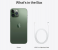Apple iPhone 13 Pro Max (256GB) - Alpine Green (Renewed) 2 in UAE