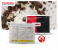 Pilarking 100g Insecticide 40% WP Bed Bug Killer Powder 1 in UAE