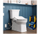 Anti-Slip Grip Sturdy Bathroom Western Toilet 2 Step Potty Stool Trainer for Boys & Girls with Safety Handles Splash Guard & Soft Seat Fits All Standard Size Toilet 4 in UAE