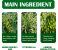 Green Prickly Ash Herbal Mite Remove Dust Mite Killing For Home Beds Sofa Indoor Mite Remover Blanket ow Mite Exterminating Bedbug Killer Pet Cleaner 2 in UAE