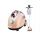 Denx DX1775 2 in 1 Professional Garment Steamer, 2000W Power Adjustable Steam Settings And Telescopic Pole, Flatbed - Rose Gold 1 in UAE