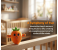 COMBO 3 Interactive Banana/carrot/stwaberry - Soft Sensory Music Plush with Sounds, Strawberry Carrot Musical Plush for Parent-Child Fun and Early Learning 2 in UAE