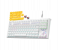 AULA Mechanical F3032 Keyboard, 87 Keys RGB Backlight Gaming Keyboard, Compact Wired Computer Keyboards for Windows PC (White, Red Switch) 1 in UAE